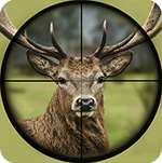 Deer Hunting: Animal Hunter 2019