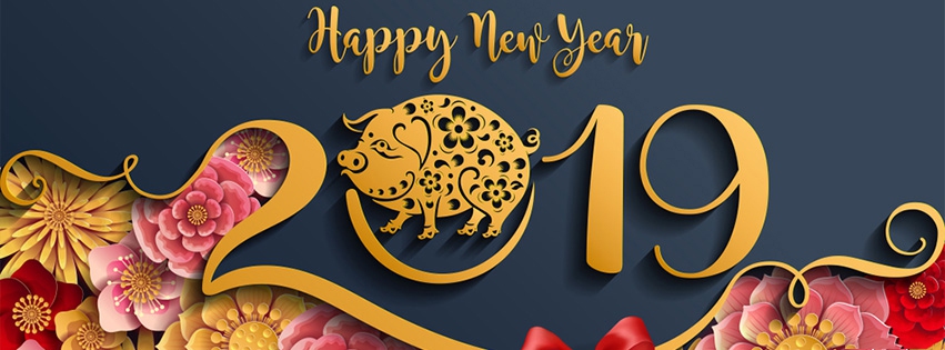 Ảnh bìa Facebook hình heo dễ thương