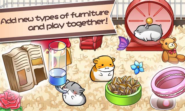 Rất nhiều đồ chơi và đồ nội thất để trang trí cho chuồng Hamster