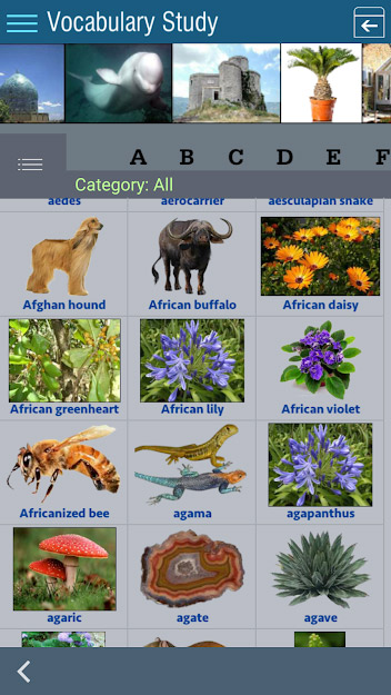 Hình ảnh minh hoạ cho từ mới