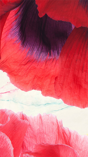 Ảnh nền iPhone 7