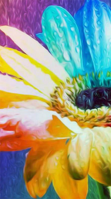 HD Wallpapers for iPhone 