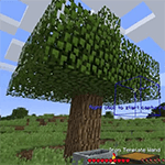 Template Wands Mod