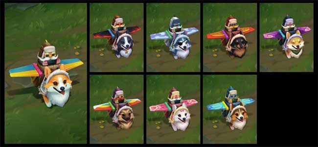 Biến thể Corgi Corki