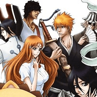 Bleach: Heat the Soul