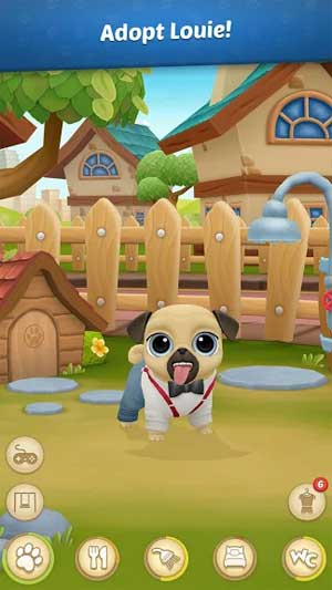 Đây là chú cún Pug dễ thương nhất bạn từng thấy