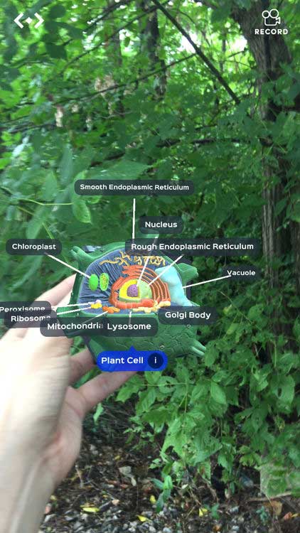 Phóng to để khám phá tế bào của vật thể