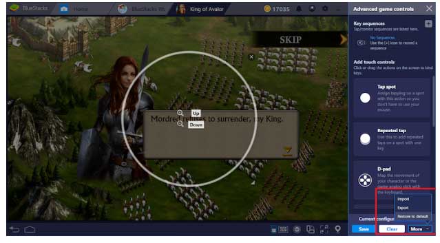 Nhập dữ liệu trong BlueStacks