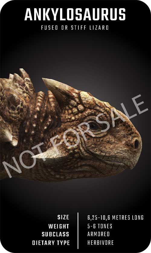 Dinosaur 4D+ gồm 21 tấm flashcard