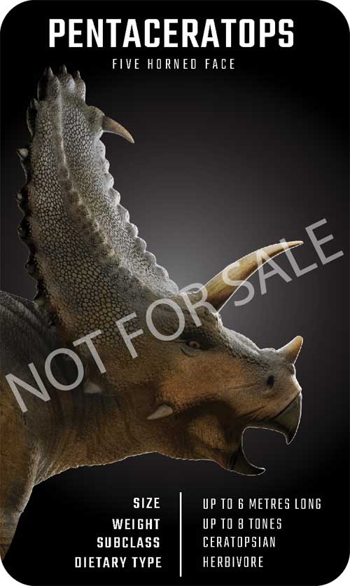 Một số mẫu flashcard Dinosaur 4D+