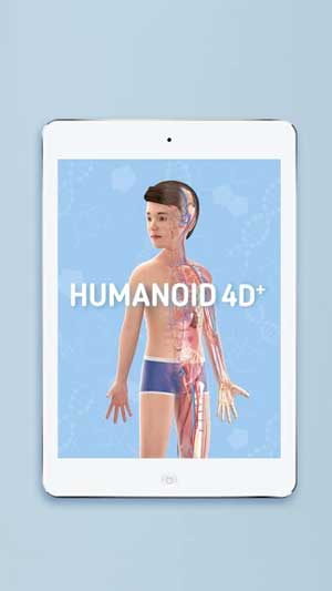 Tìm hiểu các bộ phận của cơ thể với Humanoid 4D+ cho Android