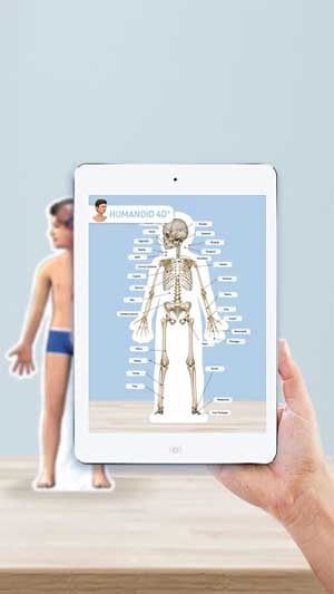 Phóng to, thu nhỏ các bộ phận dưới dạng 3D