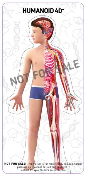 Card dùng cho Humanoid 4D+