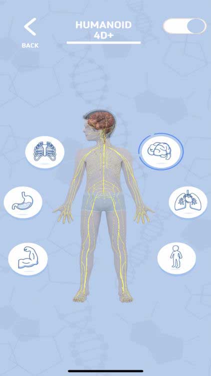 Tìm hiểu các hoạt động của các hệ cơ quan chính trong cơ thể con người