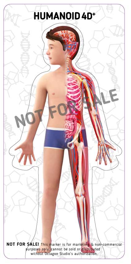 Quét flashcard Humanoid 4D+ với thiết bị iOS đã cài đặt app Humanoid 4D+