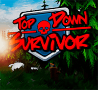 Top Down Survivor