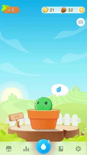 Uống nước và chăm sóc bé cây của bạn