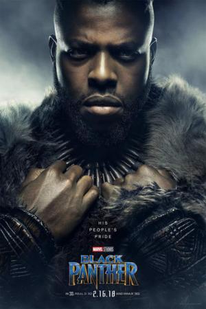 mini Black Panther 13