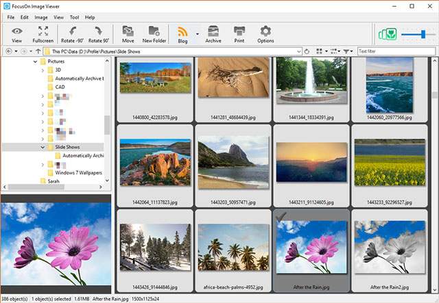 FocusOn Image Viewer là trình xem ảnh và quản lý ảnh tiện lợi trên máy tính