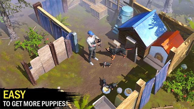 Xây dựng nhà ở kiên cố, chế tạo vũ khí và nuôi dưỡng một chú chó cưng