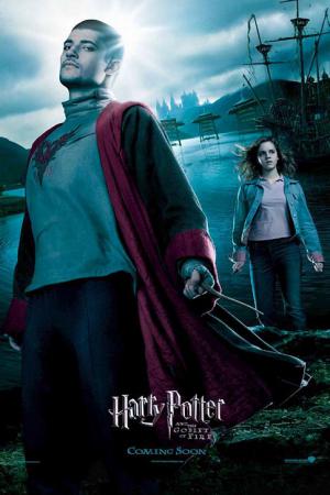 mini Harry Potter and the Goblet of Fire 10