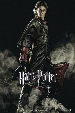 mini Harry Potter and the Goblet of Fire 2