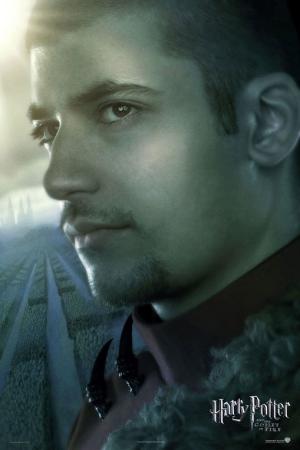 mini Harry Potter and the Goblet of Fire 20