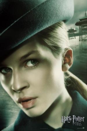 mini Harry Potter and the Goblet of Fire 21