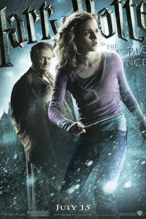mini Harry Potter and the Half Blood Prince 11