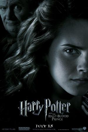 mini Harry Potter and the Half Blood Prince 16