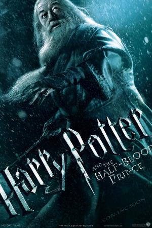 mini Harry Potter and the Half Blood Prince 2