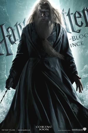 mini Harry Potter and the Half Blood Prince 5