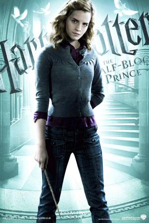 mini Harry Potter and the Half Blood Prince 6