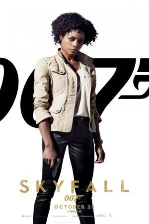 mini mini skyfall 4