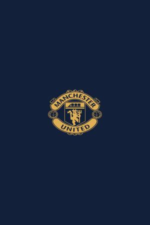 hinh nen manchester cho dien thoai 10