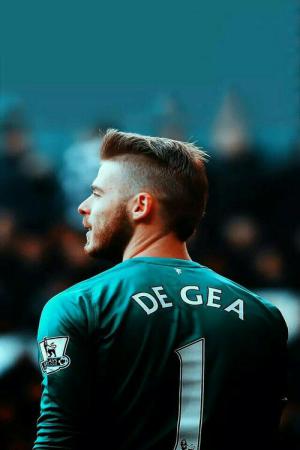 hinh nen manchester cho dien thoai 34