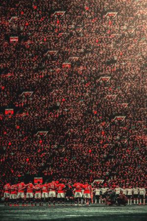 hinh nen manchester cho dien thoai 4