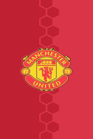 hinh nen manchester cho dien thoai 7