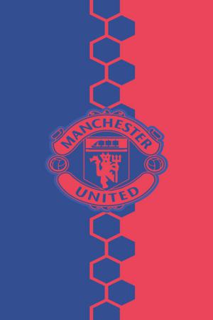 hinh nen manchester cho dien thoai 8