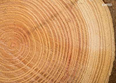 Ảnh sau khi Adobe Camera Raw chỉnh sửa