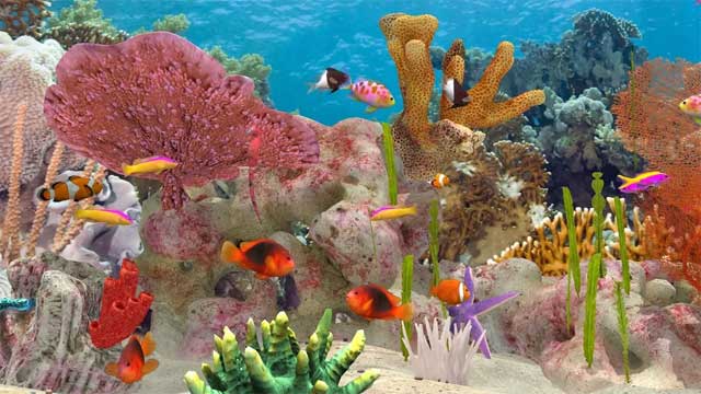 Fish Farm 3 Android thu hút game thủ bởi hệ thống đồ họa 3D cực kỳ sống động và chân thực