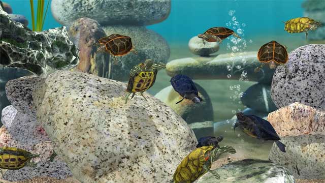 Tùy chỉnh tối đa 20 bể cá trong Fish Farm 3 Android với nhiều vật phẩm trang trí và san hô