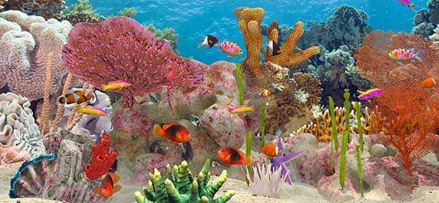 Game mô phỏng nuôi cá chân thực trên điện thoại Fish Farm 3 cho iOS