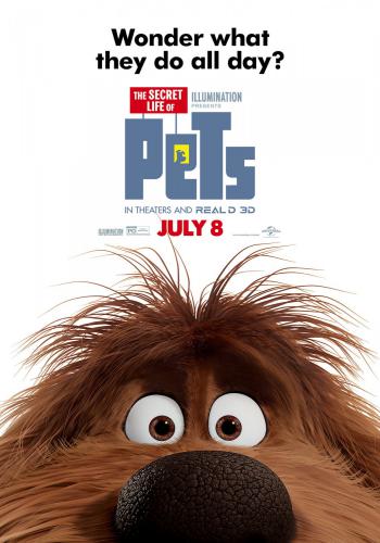 The Secret Life of Pets 14