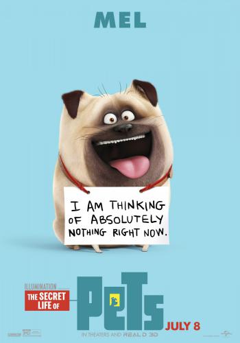 The Secret Life of Pets 6