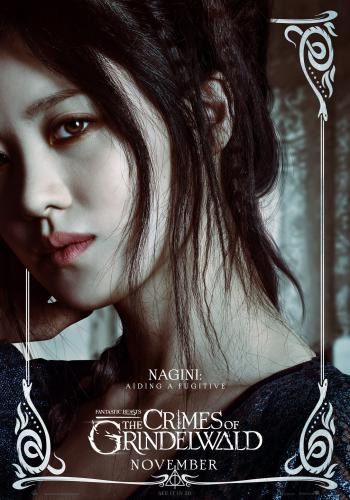 Fantastic Beasts 2 The Crimes of Grindelwald 14