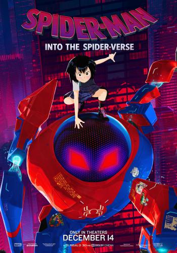 Spider Man Into the Spider Verse 18