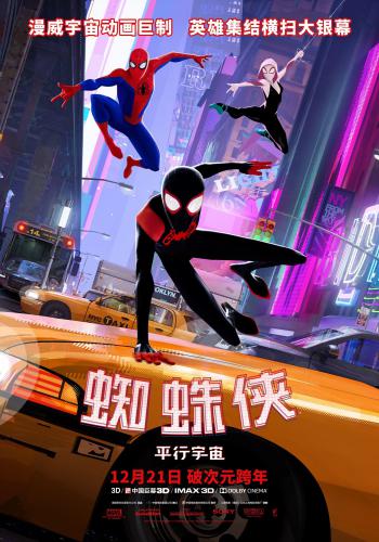 Spider Man Into the Spider Verse 23