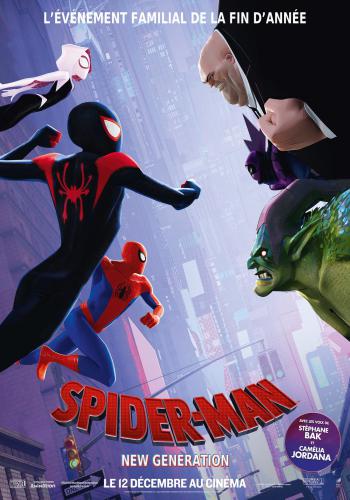 Spider Man Into the Spider Verse 24