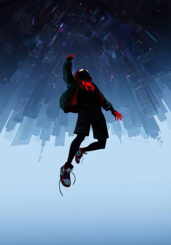Spider Man Into the Spider Verse 6